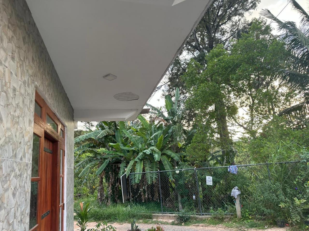 Why Not Guest House Ella Extérieur photo